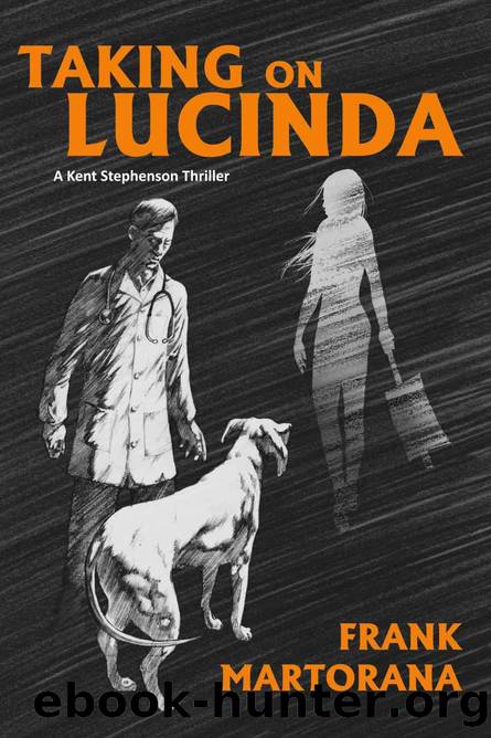 Taking On Lucinda by Frank Martorana