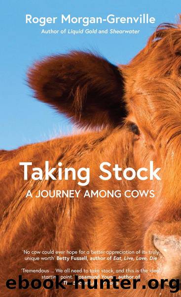 Taking Stock by Roger Morgan-Grenville