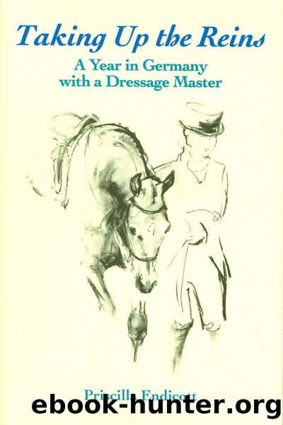 Taking Up the Reins by Priscilla Endicott