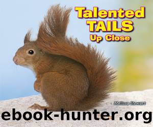 Talented Tails Up Close by Melissa Stewart