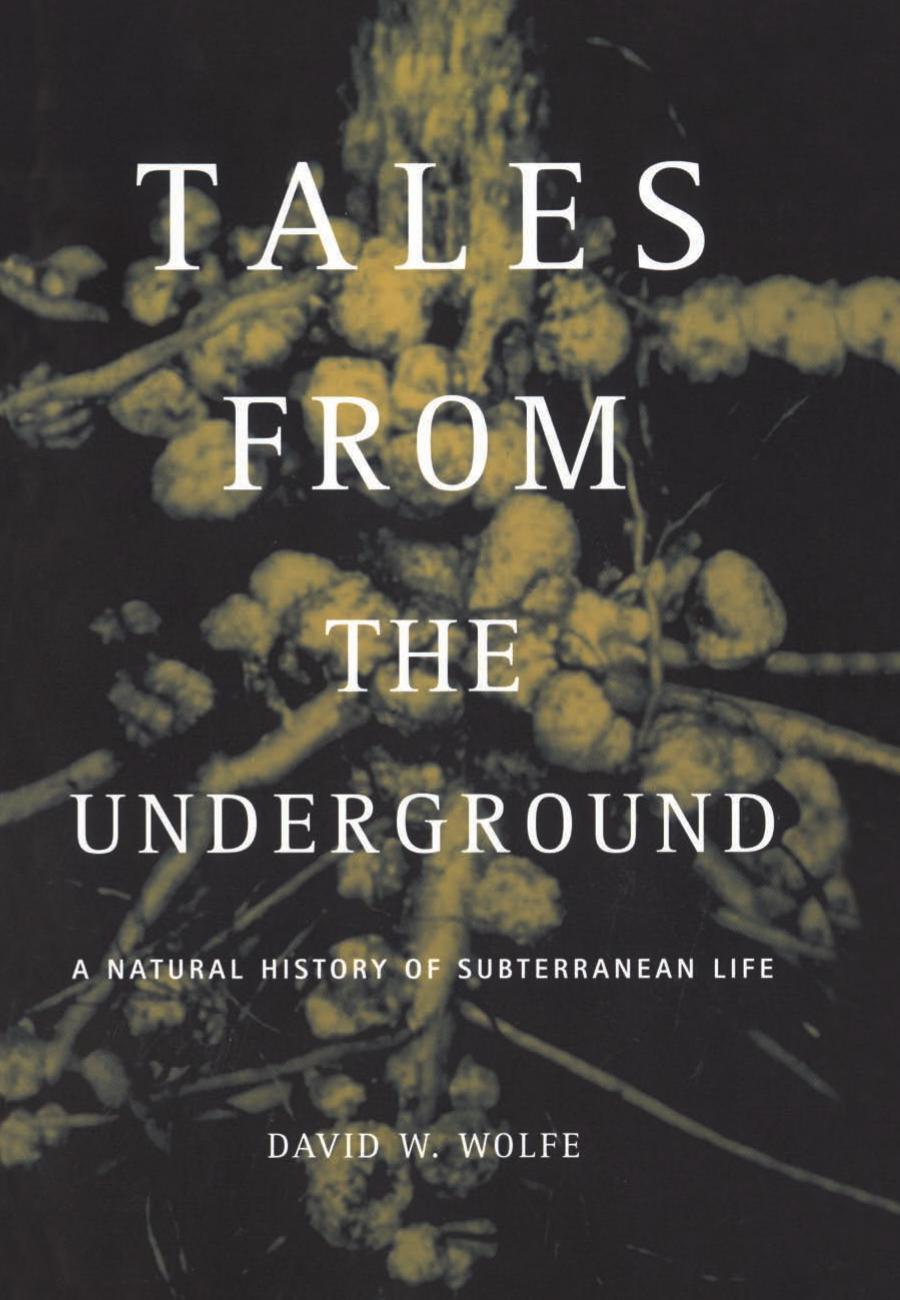 Tales From The Underground: A Natural History Of Subterranean Life by Unknow