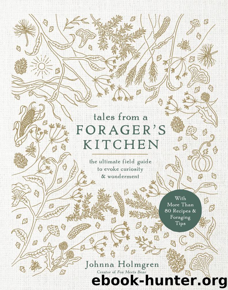 Tales from a Forager's Kitchen by Johnna Holmgren