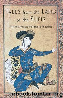 Tales from the Land of the Sufis by Mojdeh Bayat