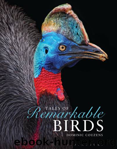 Tales of Remarkable Birds by Dominic Couzens