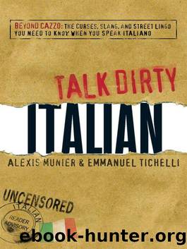 Talk Dirty Italian by Emmanuel Tichelli & Emmanuel Tichelli