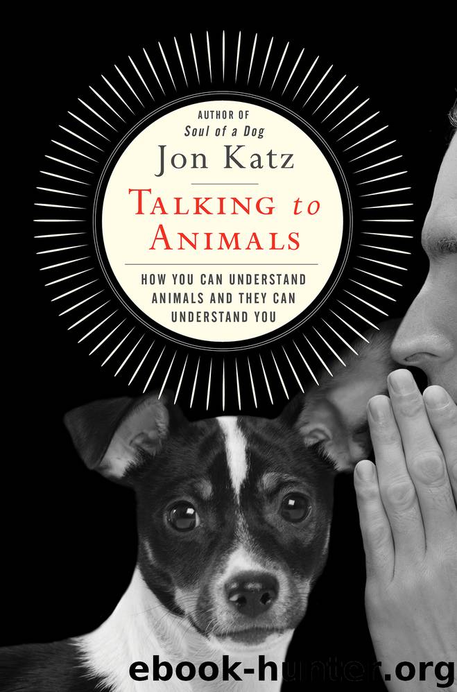 Talking to Animals by Jon Katz