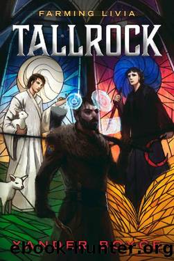 Tallrock: A Fantasy LitRPG Adventure*** by Xander Boyce