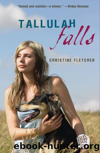 Tallulah Falls by Christine Fletcher