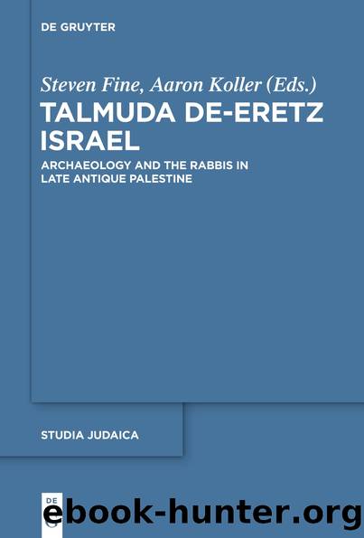 Talmuda de-Eretz Israel by Fine Steven;Koller Aaron