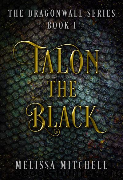Talon the Black by Melissa Mitchell