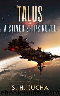 Talus by S. H. Jucha