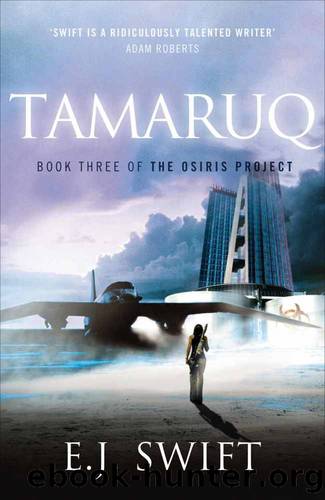 Tamaruq by E J Swift