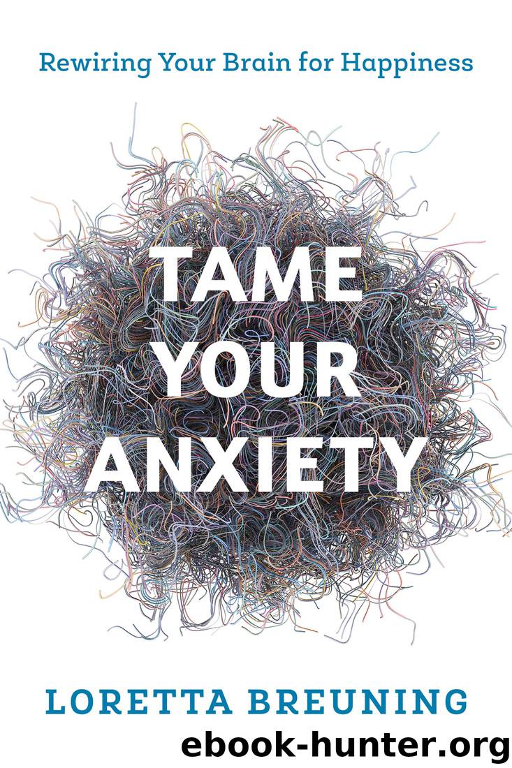Tame Your Anxiety by Loretta Graziano Breuning