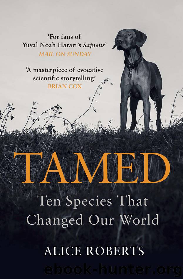 Tamed by Alice Roberts