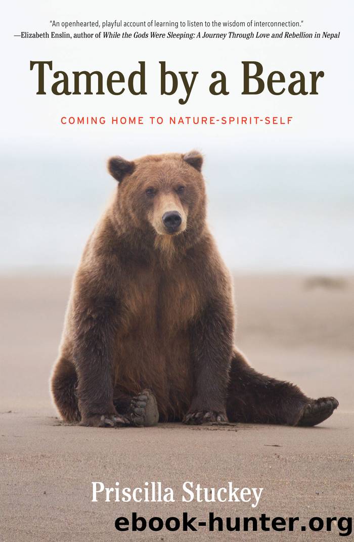 Tamed by a Bear: Coming Home to Nature-Spirit-Self by Priscilla Stuckey