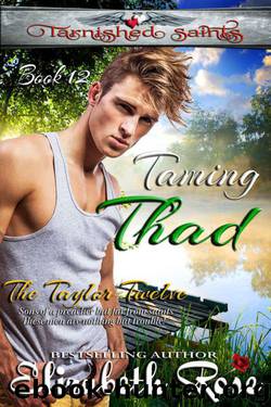 Taming Thad (Tarnished Saints Series #12) by Elizabeth Rose