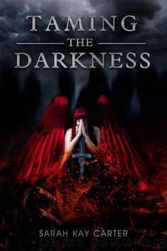 Taming the Darkness by Sarah Carter