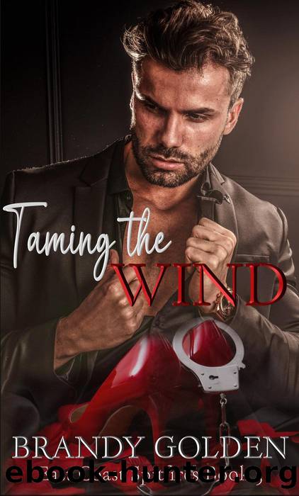 Taming the Wind by Brandy Golden