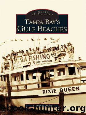 Tampa Bay's Gulf Beaches by R. Wayne Ayers