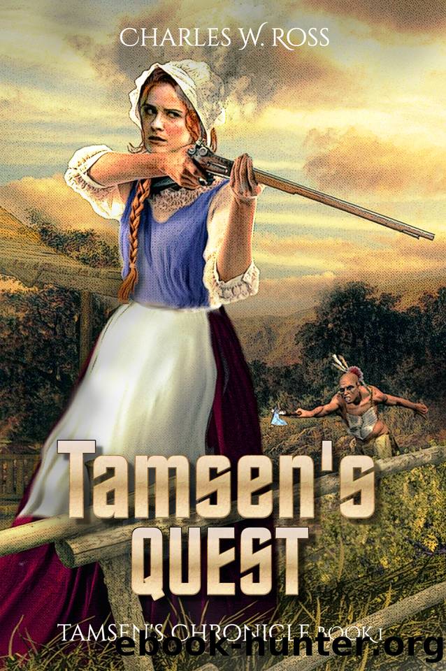 Tamsen's Quest (Tamsen's Chronicle Book 1) by Charles W. Ross