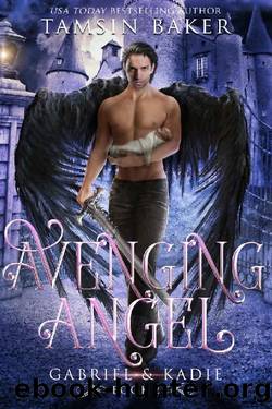 Tamsin Baker - 02 Avenging Angel by Tamsin Baker