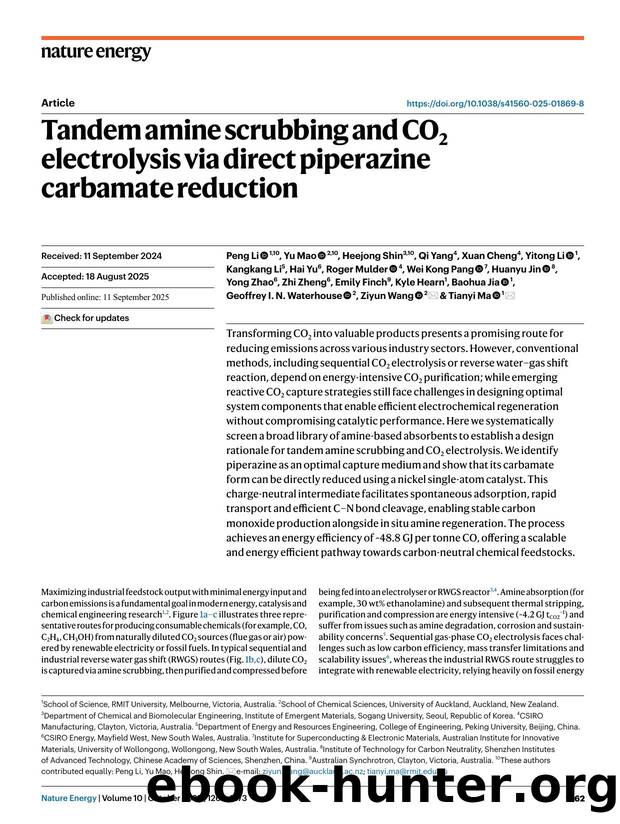 Tandem amine scrubbing and CO2 electrolysis via direct piperazine carbamate reduction by unknow