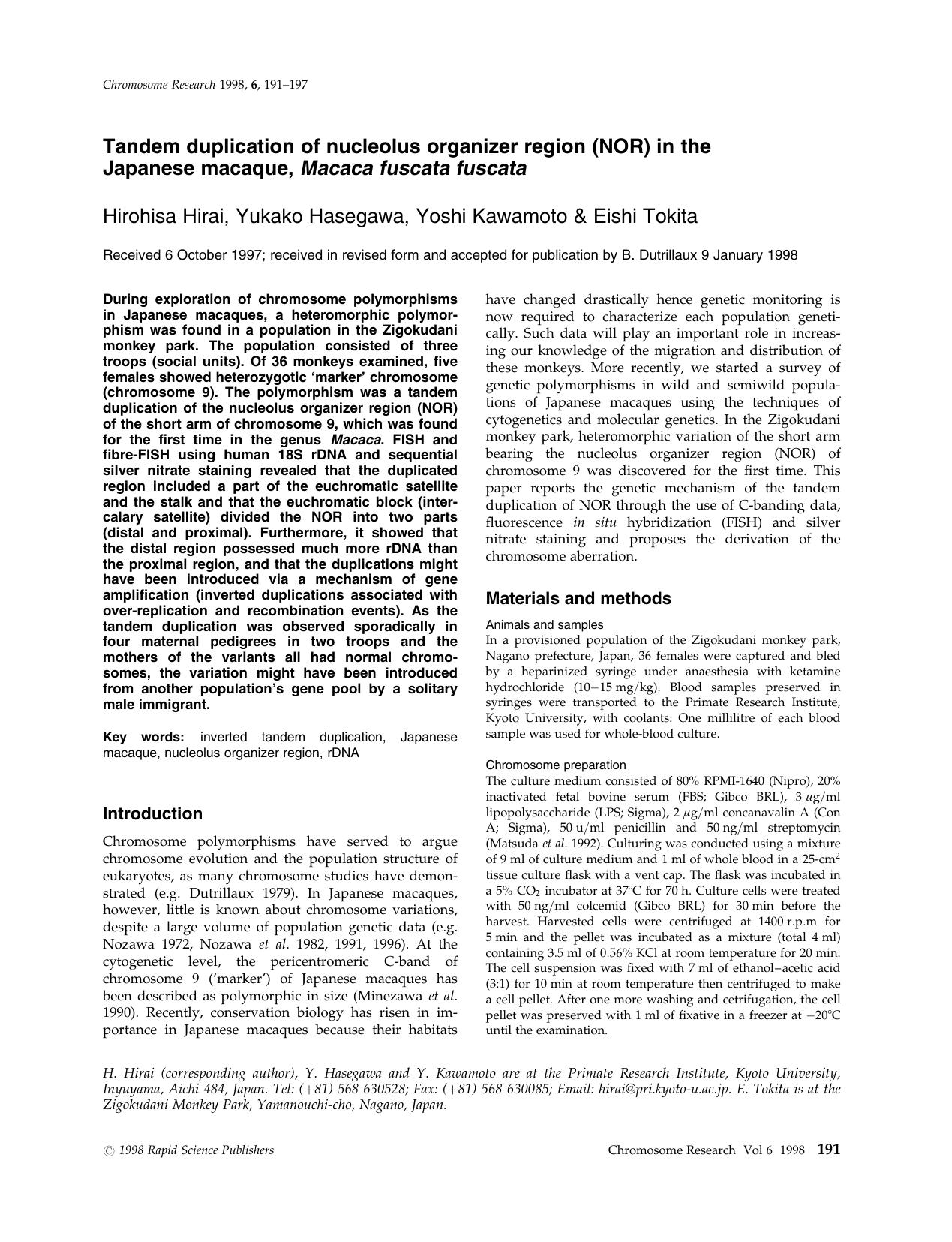 Tandem duplication of nucleolus organizer region (NOR) in the Japanese macaque, Macaca fuscata fuscata by Unknown