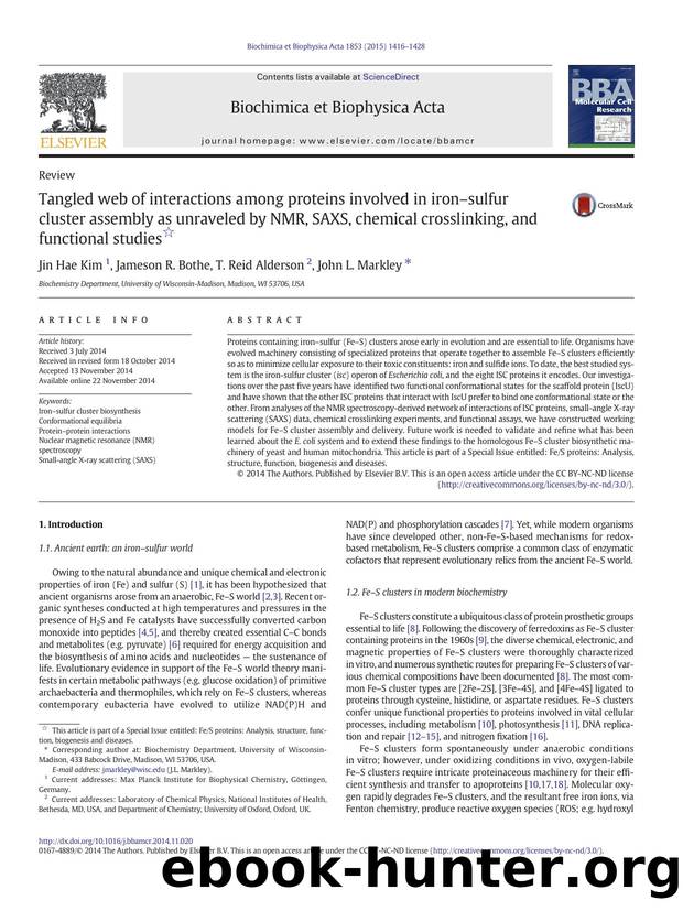 Tangled web of interactions among proteins involved in ironâsulfur cluster assembly as unraveled by NMR, SAXS, chemical crosslinking, and functional studies by Jin Hae Kim & Jameson R. Bothe & T. Reid Alderson & John L. Markley