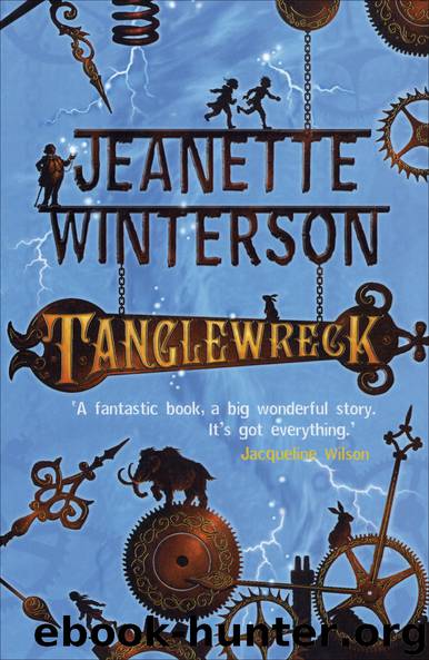 Tanglewreck by Jeanette Winterson