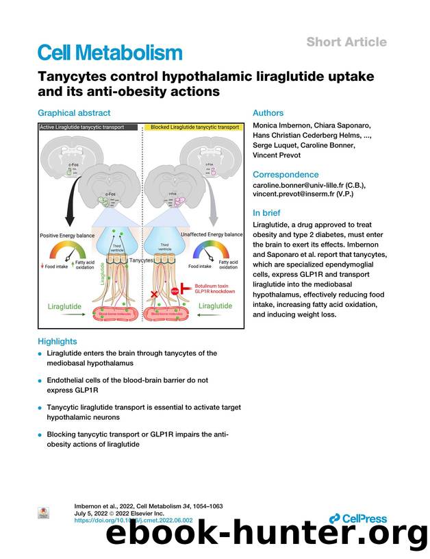 Tanycytes control hypothalamic liraglutide uptake and its anti-obesity actions by unknow