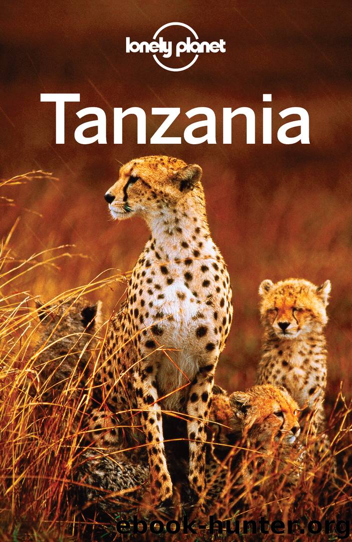 Tanzania Travel Guide by Lonely Planet