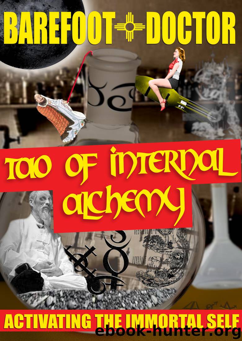 Tao of Internal Alchemy by Barefoot Doctor