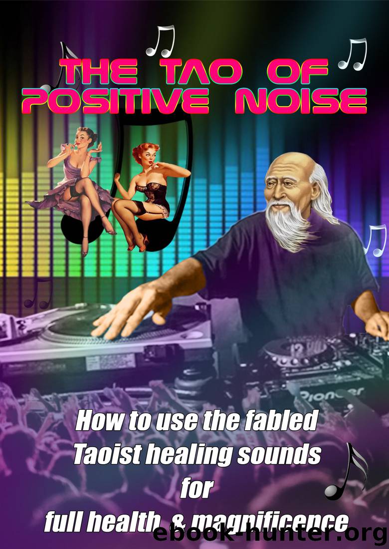Tao of Positive Noise by Barefoot Doctor