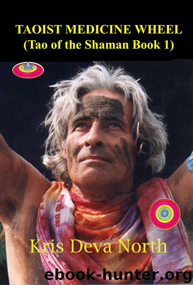 Taoist Medicine Wheel: (Tao of the Shaman Book1) by North Kris Deva