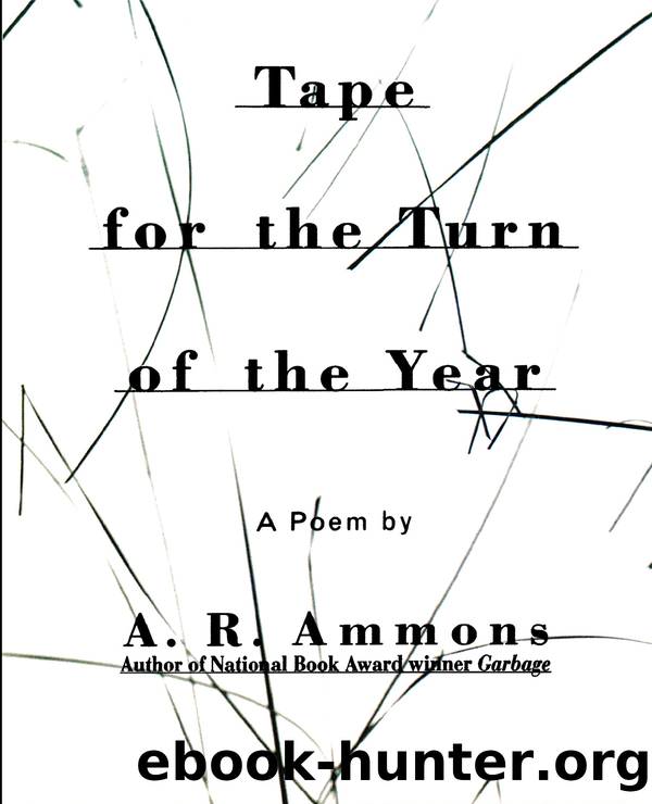Tape for the Turn of the Year by A. R. Ammons