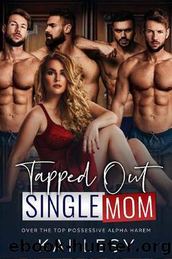 Tapped Out Single Mom: A Contemporary Reverse Harem Romance (Lucky Lady Reverse Harems) by Kai Lesy