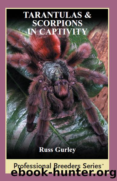 Tarantulas and Scorpions in Captivity by Russ Gurley