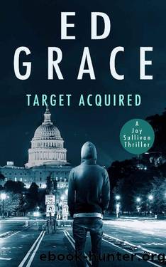 Target Acquired (Jay Sullivan Thrillers Book 5) by Ed Grace