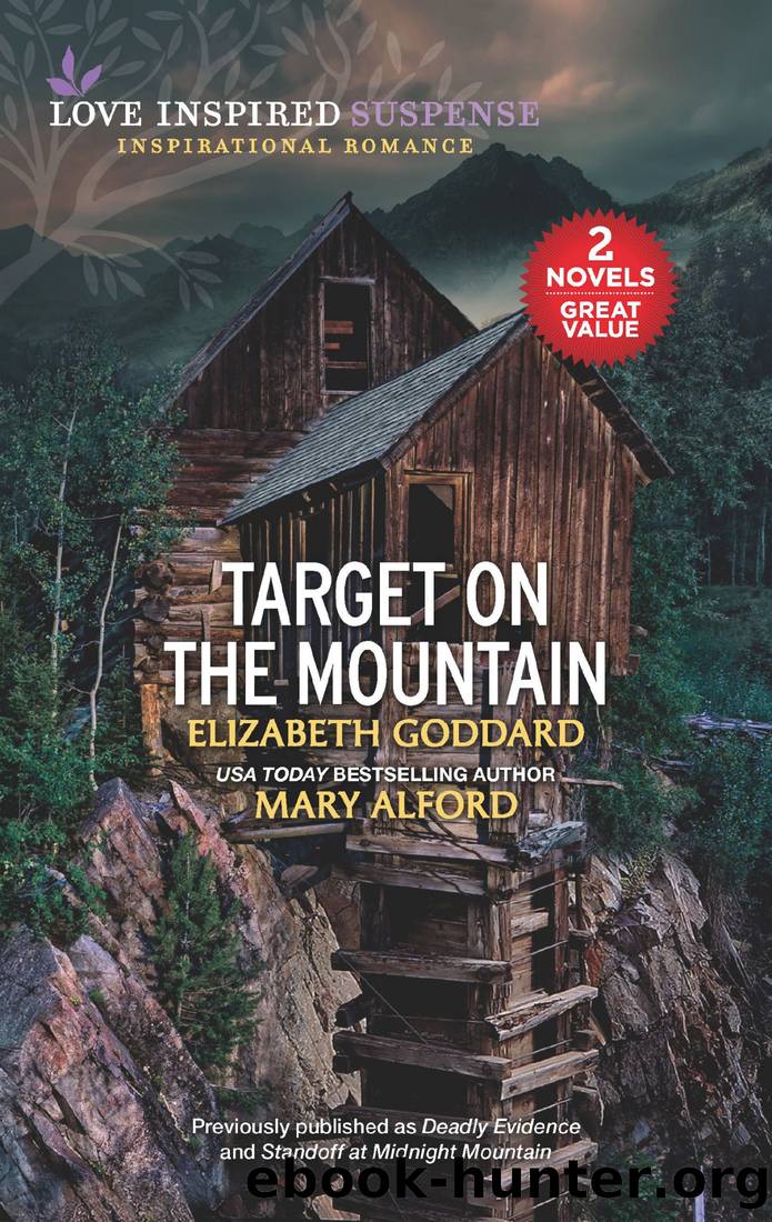 Target on the Mountain by Elizabeth Goddard