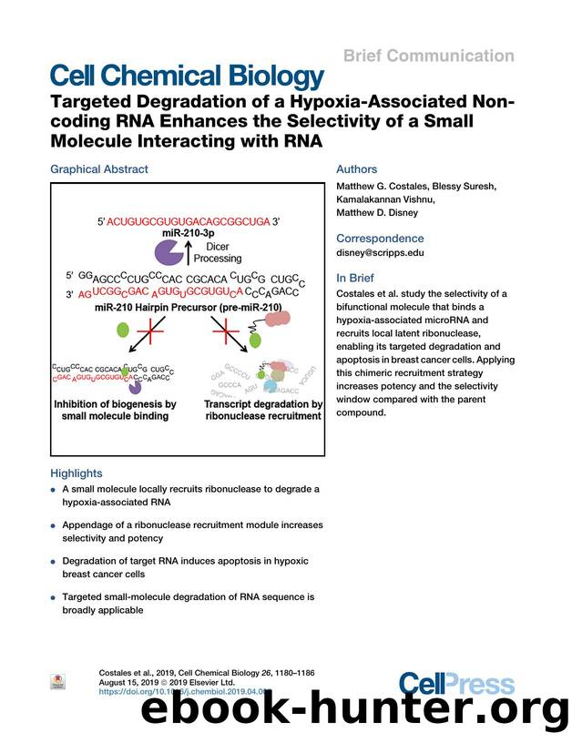 Targeted Degradation of a Hypoxia-Associated Non-coding RNA Enhances the Selectivity of a Small Molecule Interacting with RNA by Matthew G. Costales & Blessy Suresh & Kamalakannan Vishnu & Matthew D. Disney
