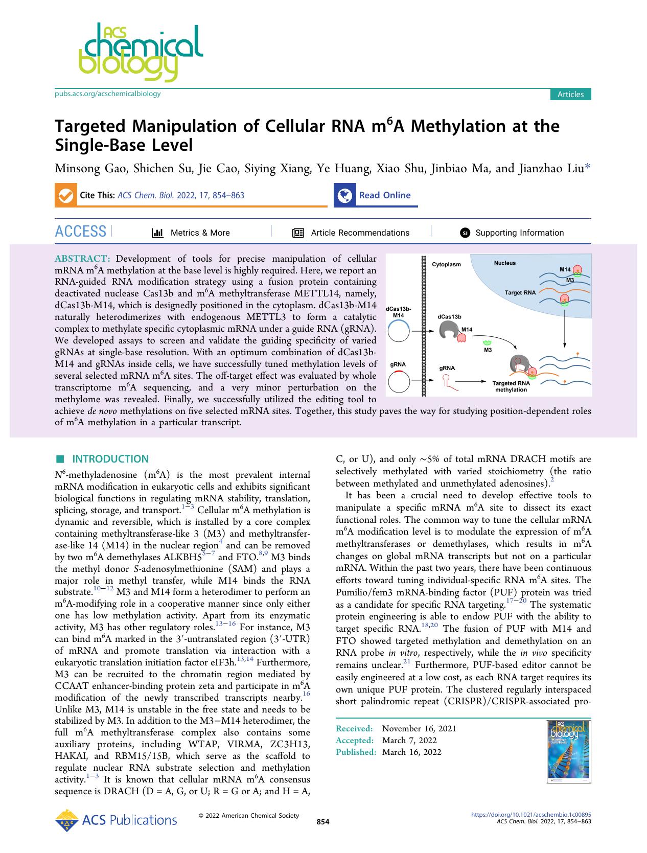 Targeted Manipulation of Cellular RNA m6A Methylation at the Single-Base Level by Minsong Gao Shichen Su Jie Cao Siying Xiang Ye Huang Xiao Shu Jinbiao Ma and Jianzhao Liu