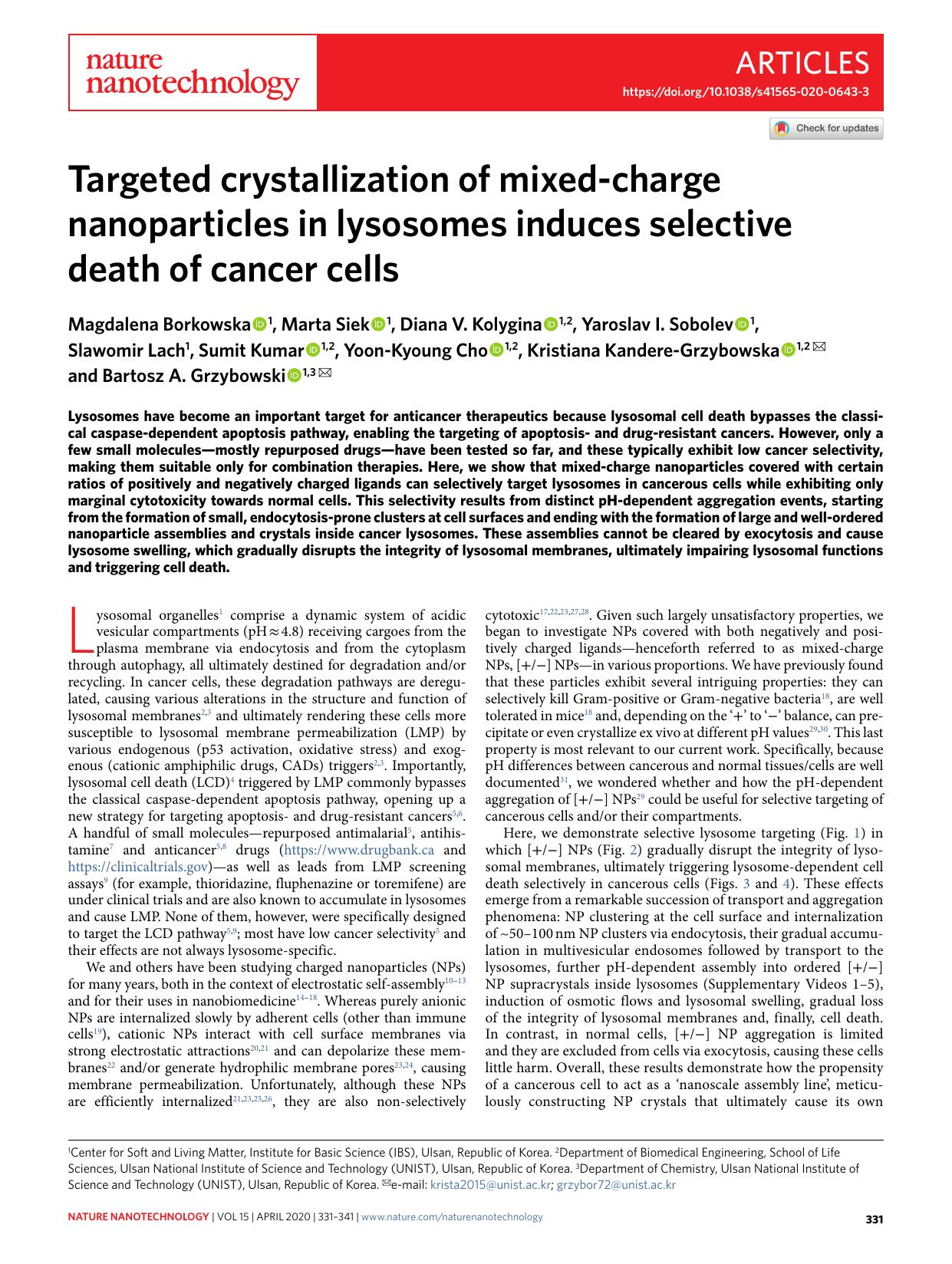 Targeted crystallization of mixed-charge nanoparticles in lysosomes induces selective death of cancer cells by unknow