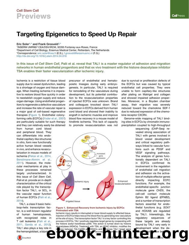 Targeting Epigenetics to Speed Up Repair by Eric Soler & Frank Grosveld