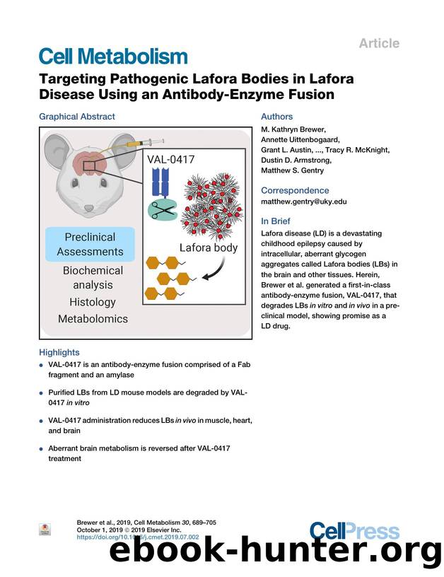 Targeting Pathogenic Lafora Bodies in Lafora Disease Using an Antibody-Enzyme Fusion by unknow