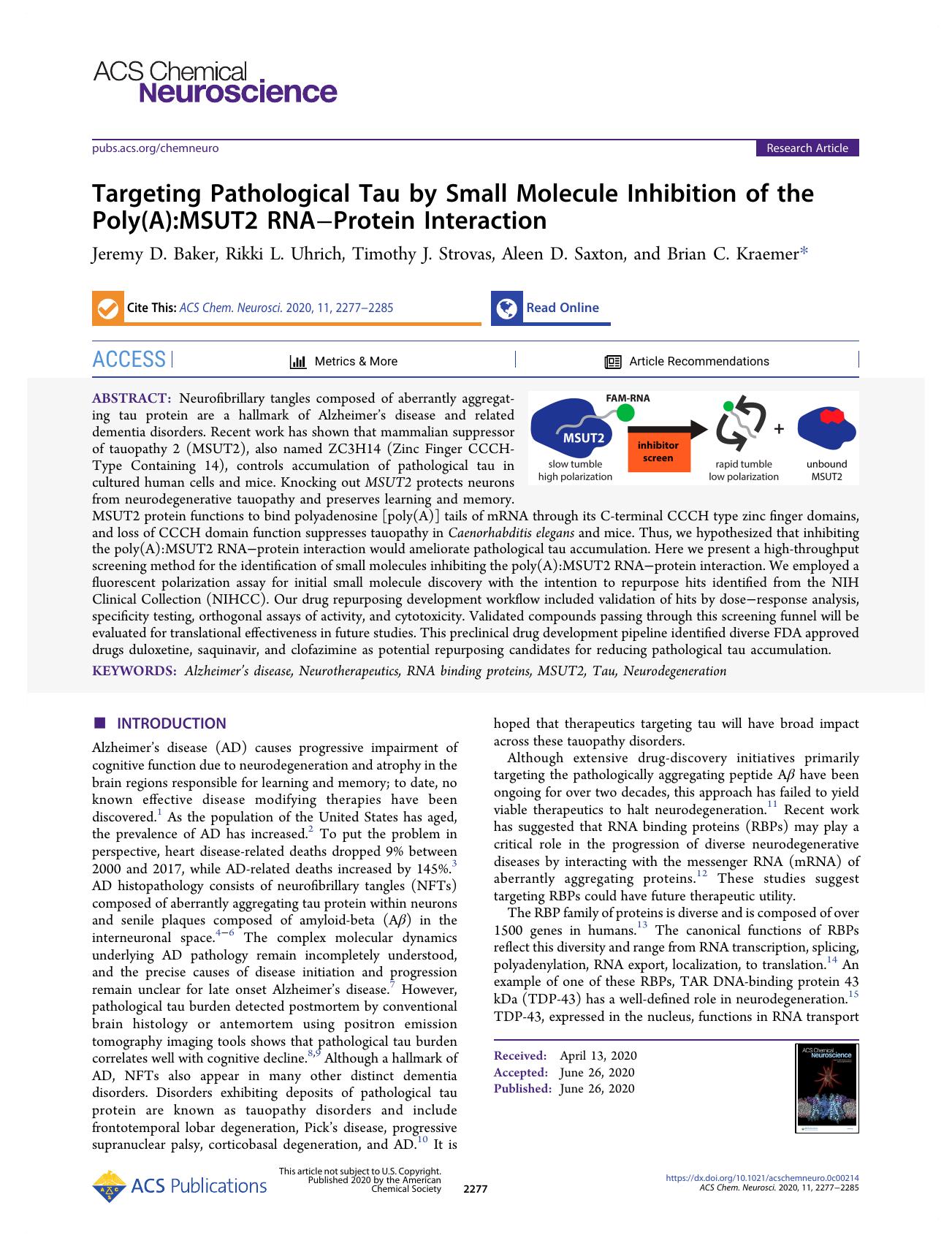 Targeting Pathological Tau by Small Molecule Inhibition of the Poly(A):MSUT2 RNAâProtein Interaction by Jeremy D. Baker Rikki L. Uhrich Timothy J. Strovas Aleen D. Saxton and Brian C. Kraemer
