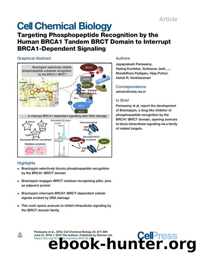 Targeting Phosphopeptide Recognition by the Human BRCA1 Tandem BRCT Domain to Interrupt BRCA1-Dependent Signaling by unknow
