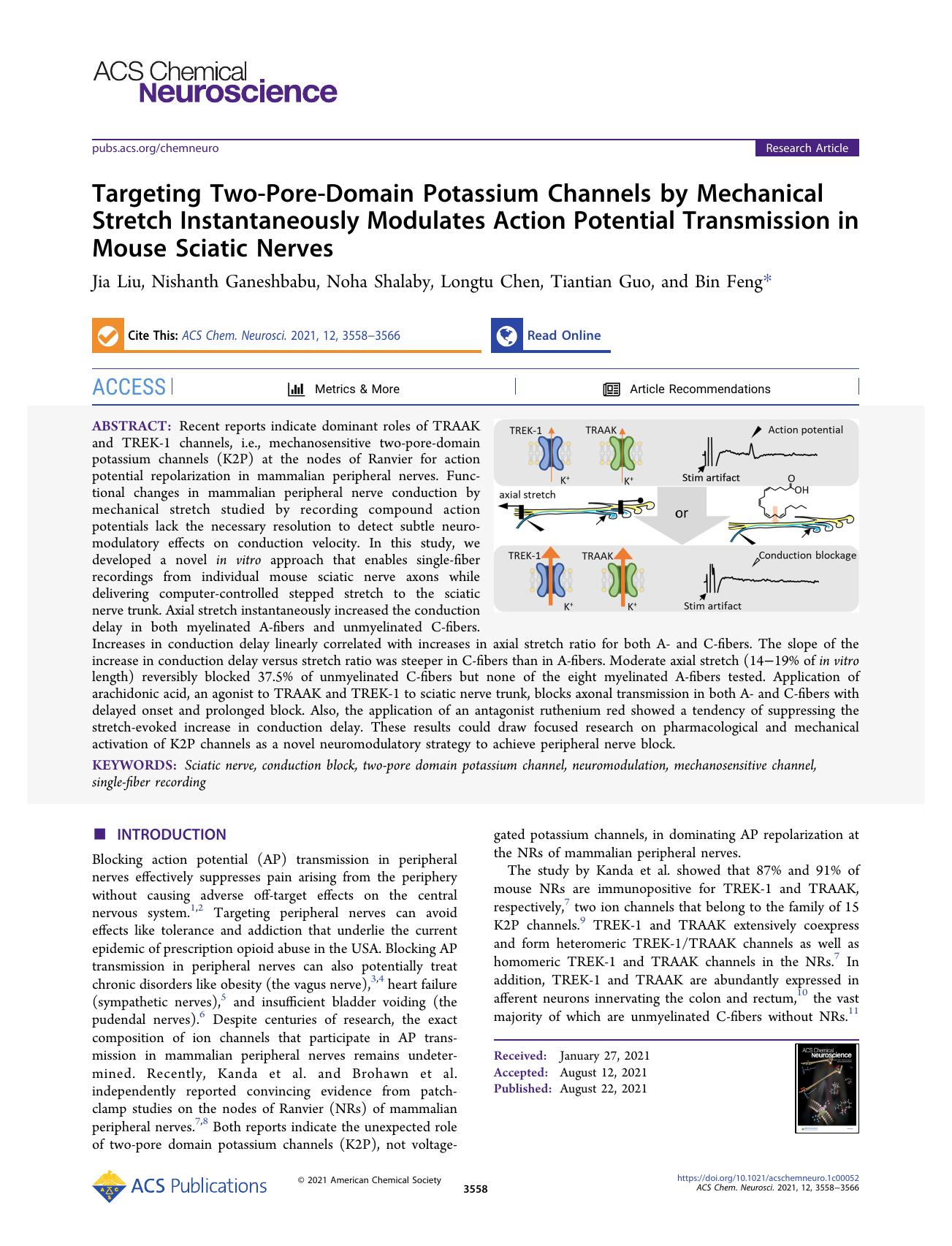 Targeting Two-Pore-Domain Potassium Channels by Mechanical Stretch Instantaneously Modulates Action Potential Transmission in Mouse Sciatic Nerves by Jia Liu Nishanth Ganeshbabu Noha Shalaby Longtu Chen Tiantian Guo and Bin Feng