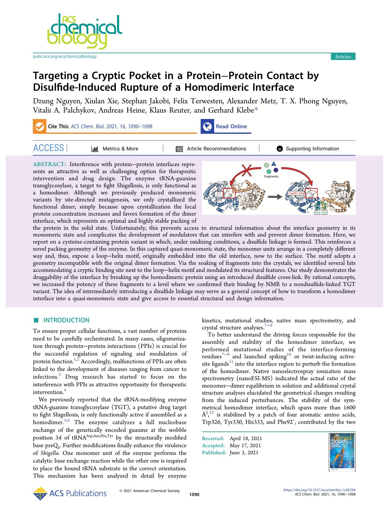 Targeting a Cryptic Pocket in a ProteinâProtein Contact by Disulfide-Induced Rupture of a Homodimeric Interface by unknow