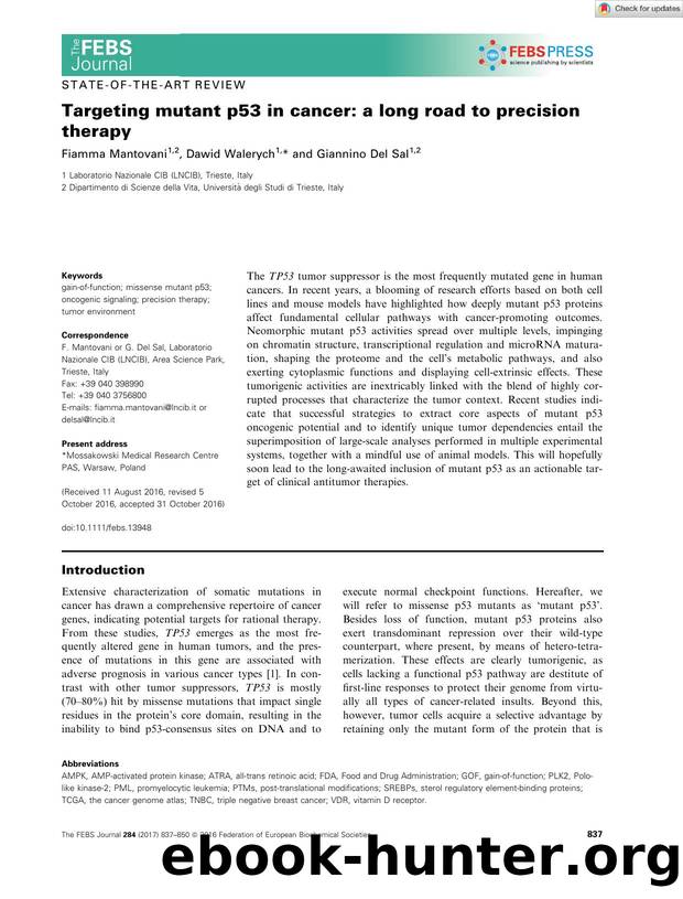 Targeting mutant p53 in cancer: a long road to precision therapy by Unknown