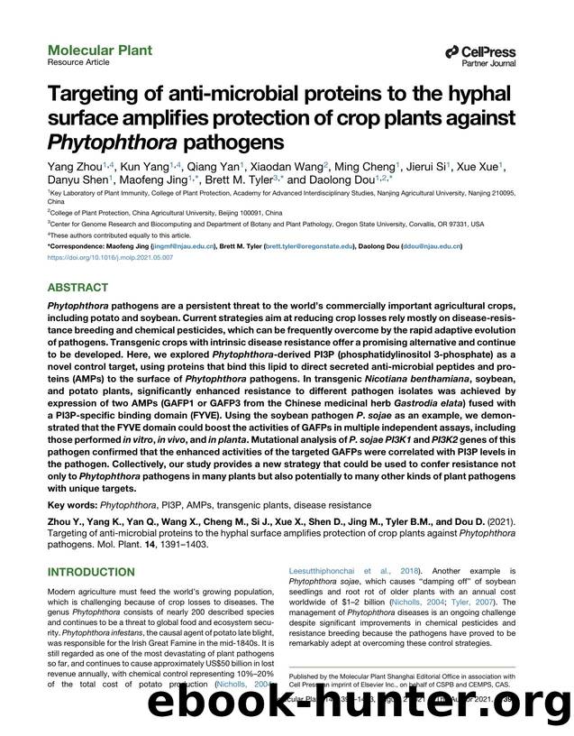 Targeting of anti-microbial proteins to the hyphal surface amplifies protection of crop plants against Phytophthora pathogens by unknow
